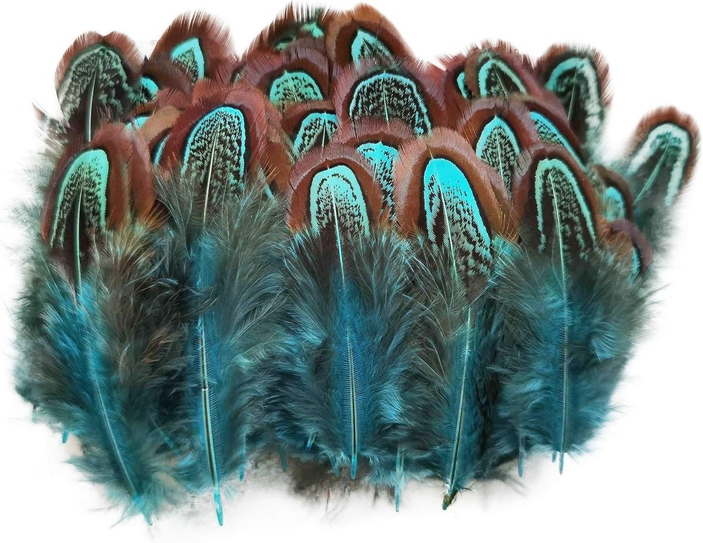 Natural Blue Pheasant Plumage Feathers 200pcs