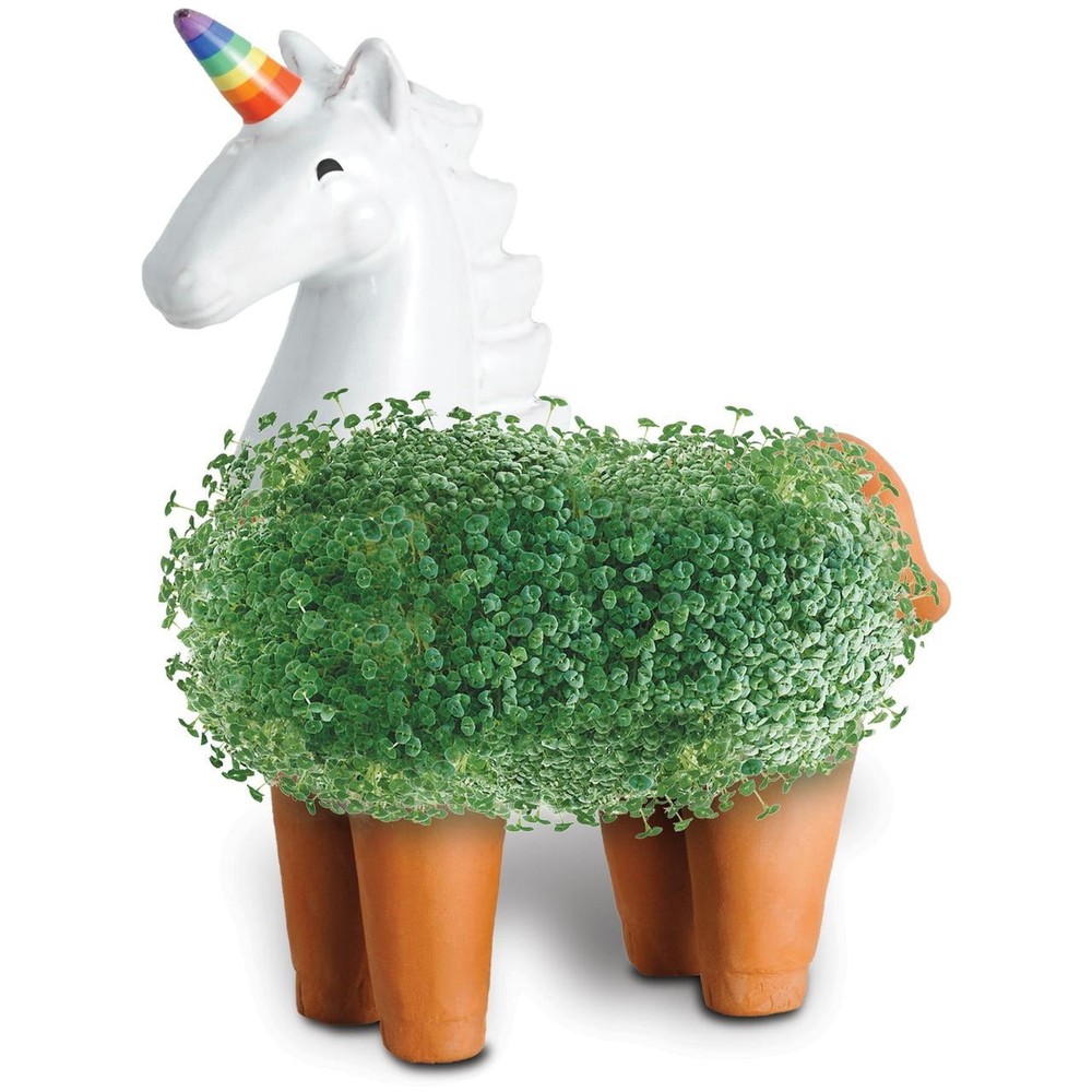 Unicorn Handmade Decorative Planter by JEI