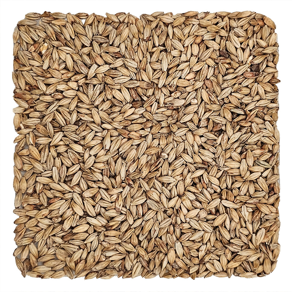 Home Brew Ohio Abbey Grain 5lb