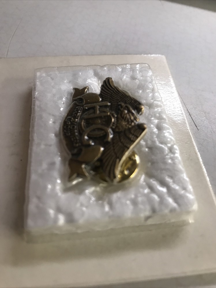 Harley Davidson Owners Group Vintage 1983 HOG Eagle Pin NOS