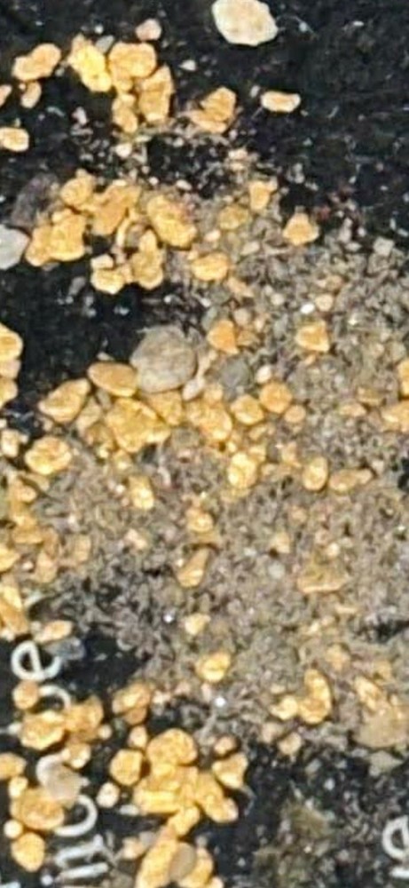 paydirt gold