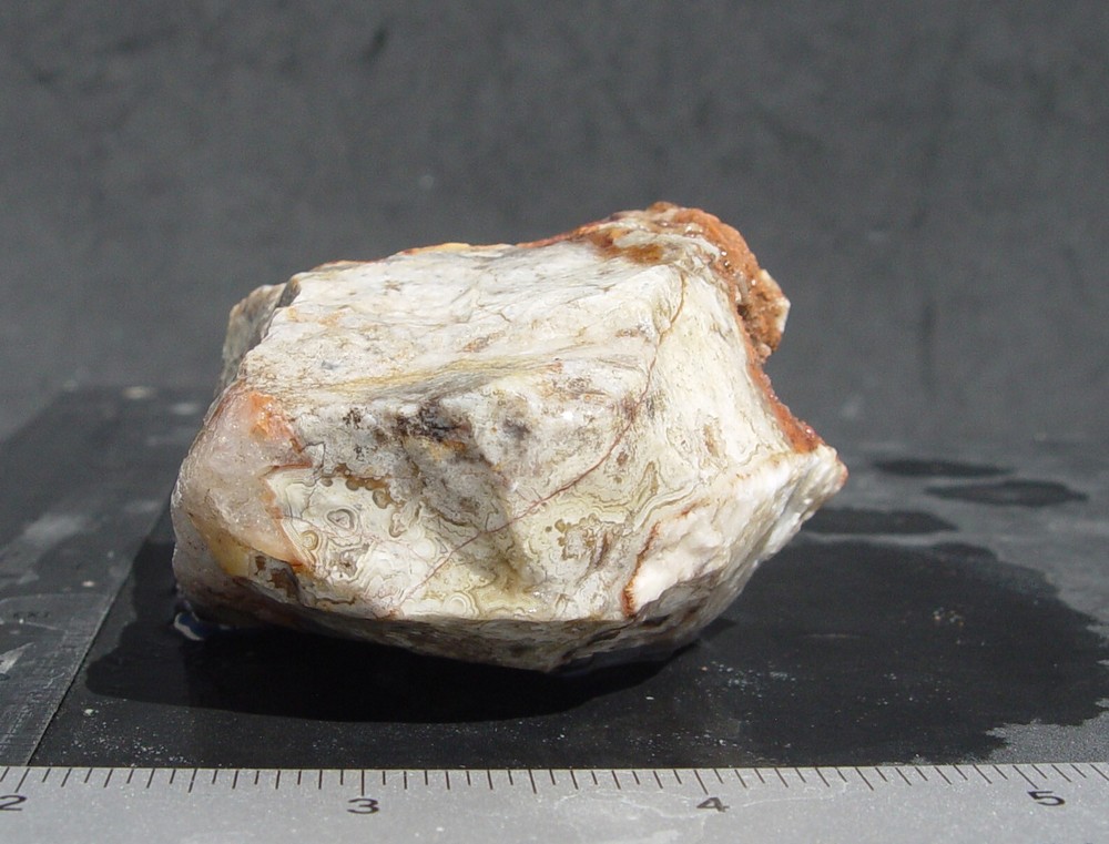 Lace Agate Small Lapidary Rough 1315
