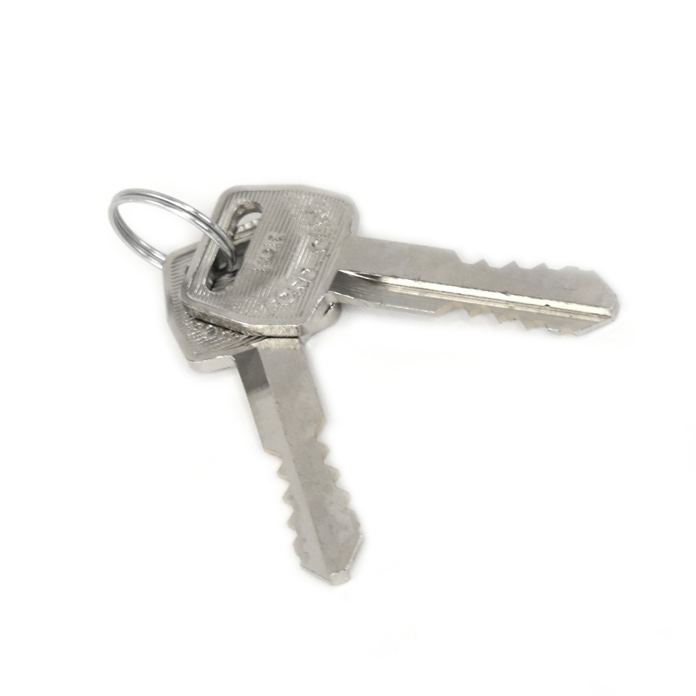 Ignition Lock Cylinder w/Keys 1967-1969 Mustang