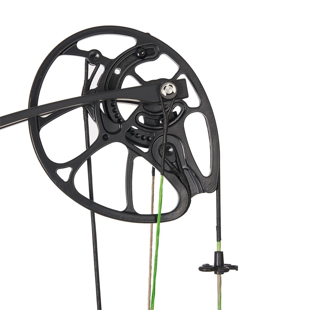 Compound Bow 30-70lbs Adjustable Archery Bow Carbon Arrows Hunting Shoot Target