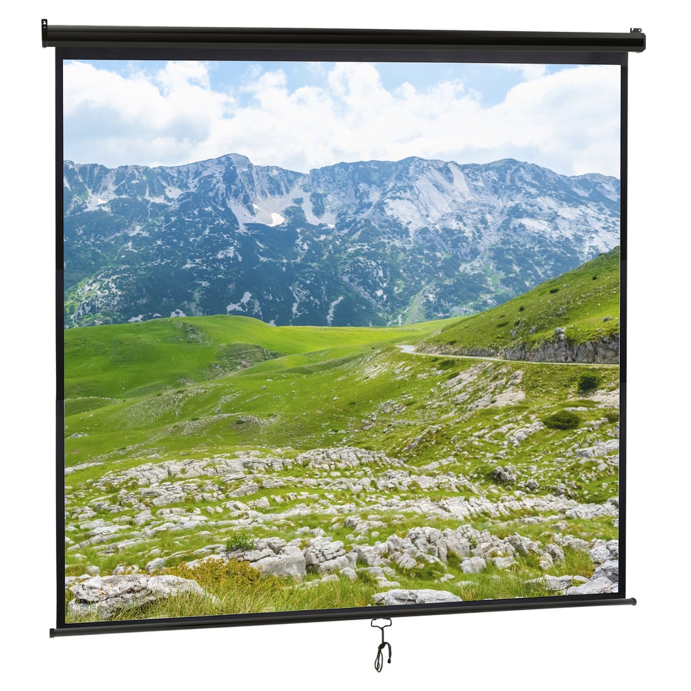 120'' Projection Screen 1:1 HD 4K Manual Pull Down Projector Screen Home Black