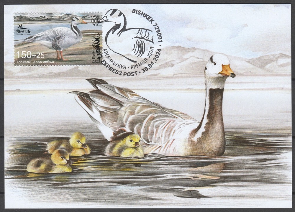 Kyrgyzstan 2023 Birds Maximum Card