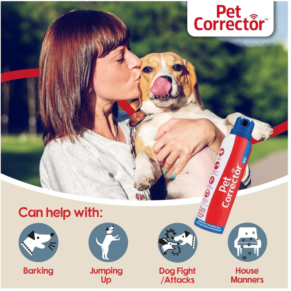 Safe & Effective Dog Training