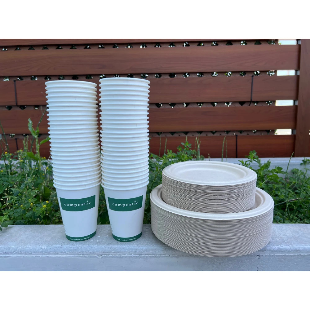 Plates & Cups Set (100 guests)