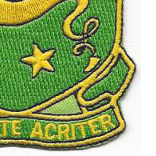 76th Airborne Tank Battalion Patch