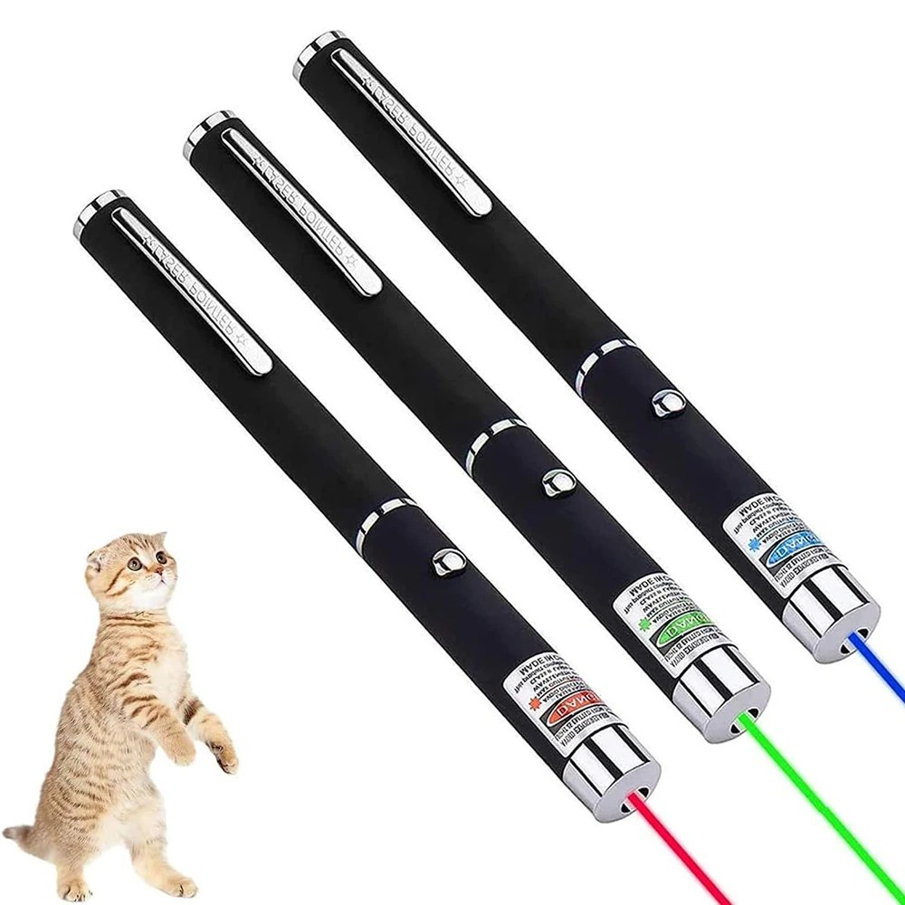 2-in-1 Cat Laser Pointer LED Torch USB Rechargeable Kitten Training Toy Keychain