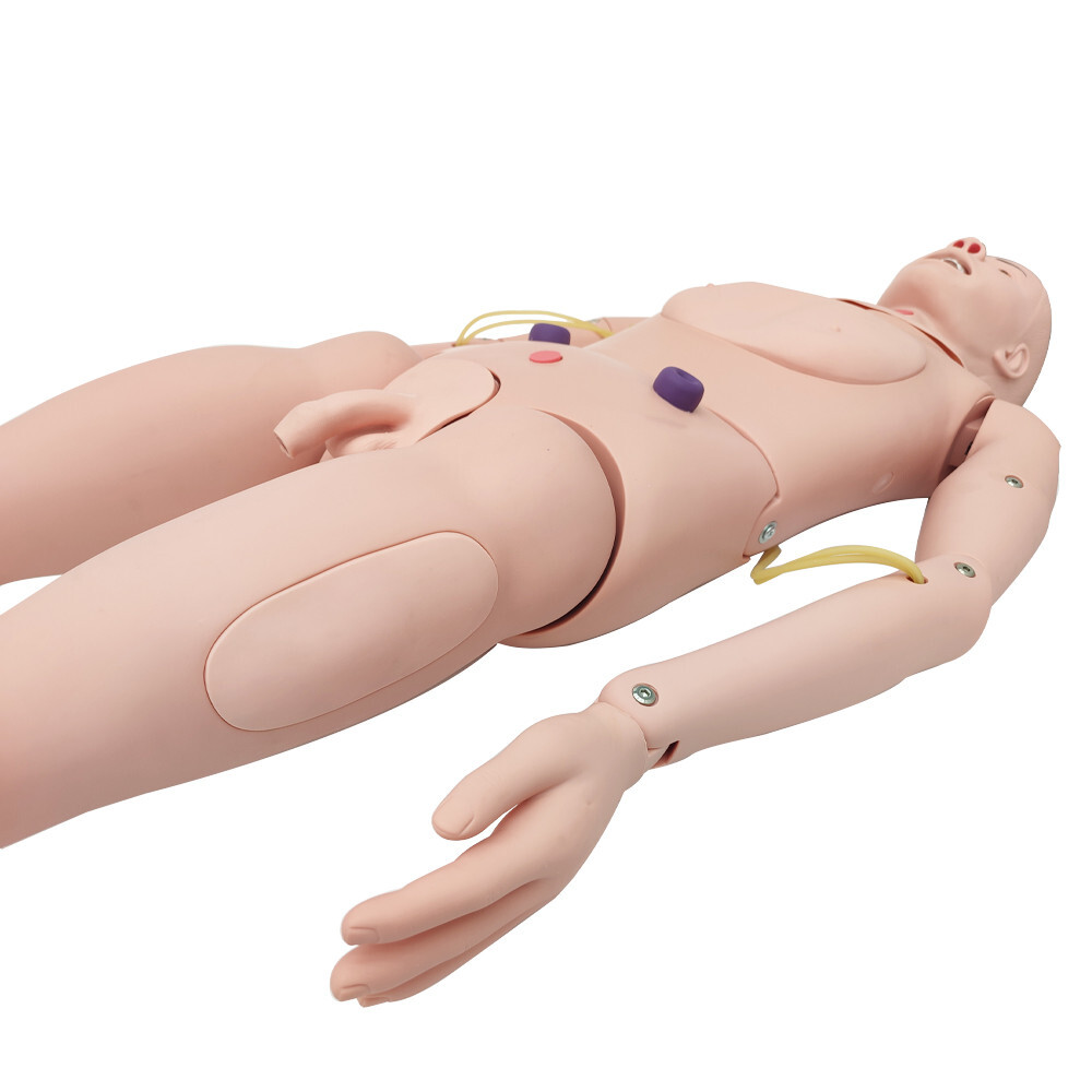 Patient Care Burn Teaching Model 24 Wound Modules Care NursingTraining Model
