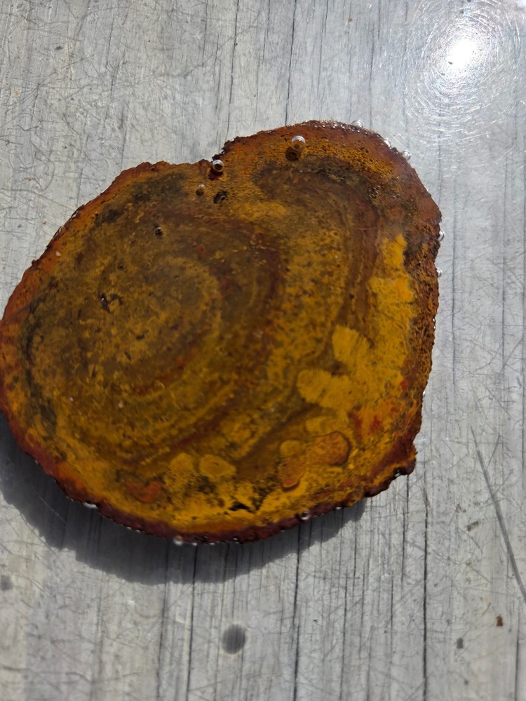 Petrified Wood Slab