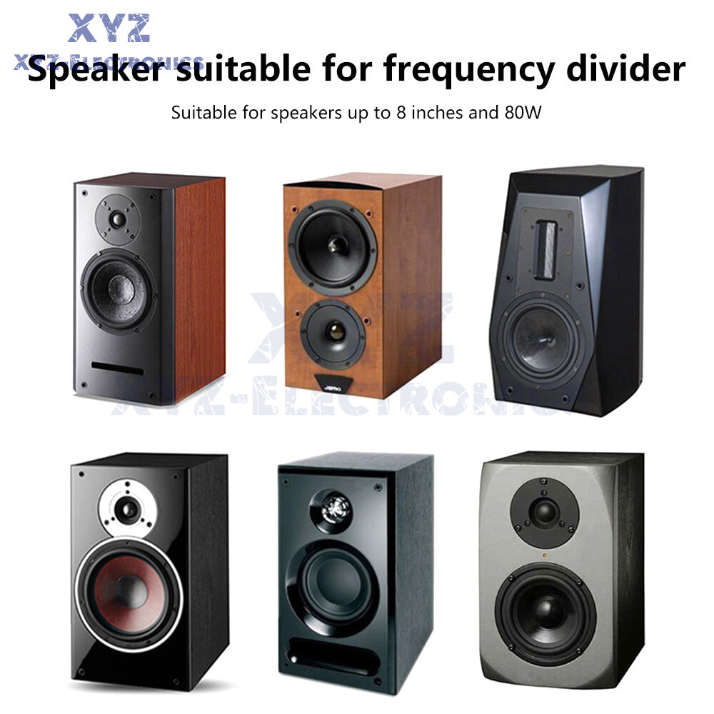Speaker Modification Upgrade Crossover Frequency Filter High & Low Two-way HiFi