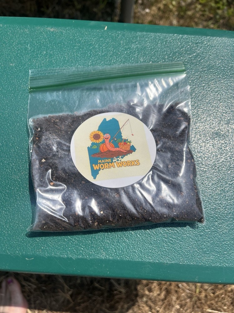 Hermit Crab Food