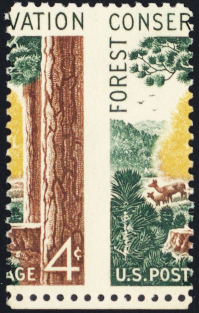 1122, Mint NH 4¢ - Tremendous Misperforation Shift Error - Stuart Katz