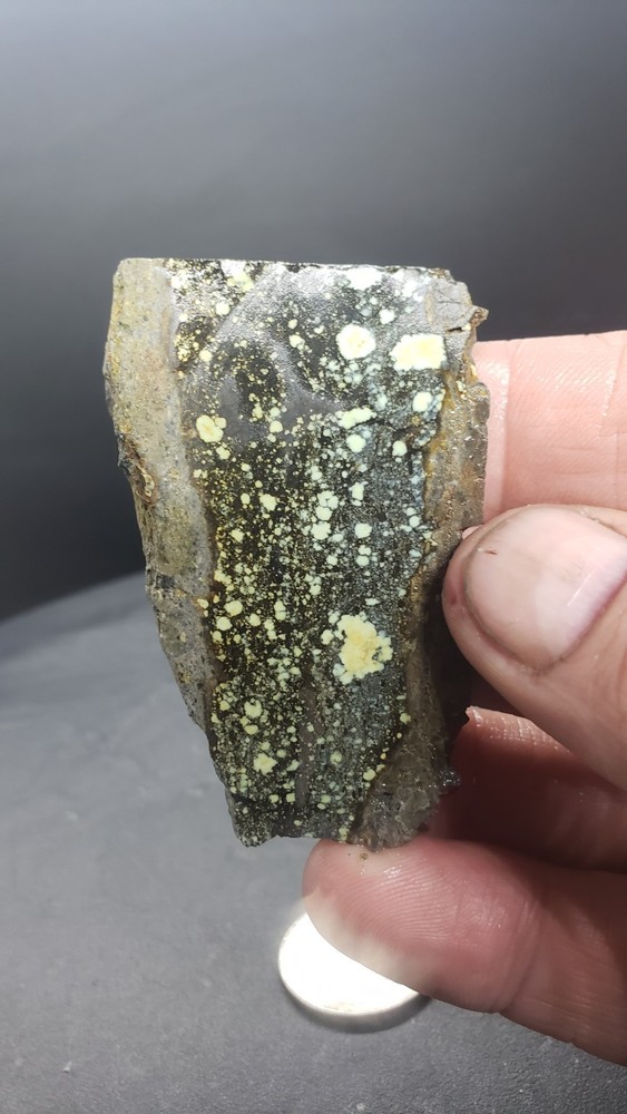 Nevada Saguaro Variscite Slab