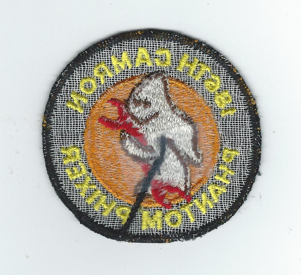 70's-80's 186th CAMRON PHANTOM PHIXER patch