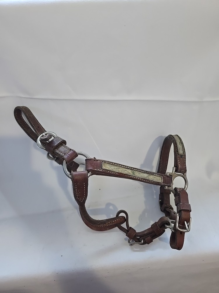 Brown Leather Horse Size Halter (D)