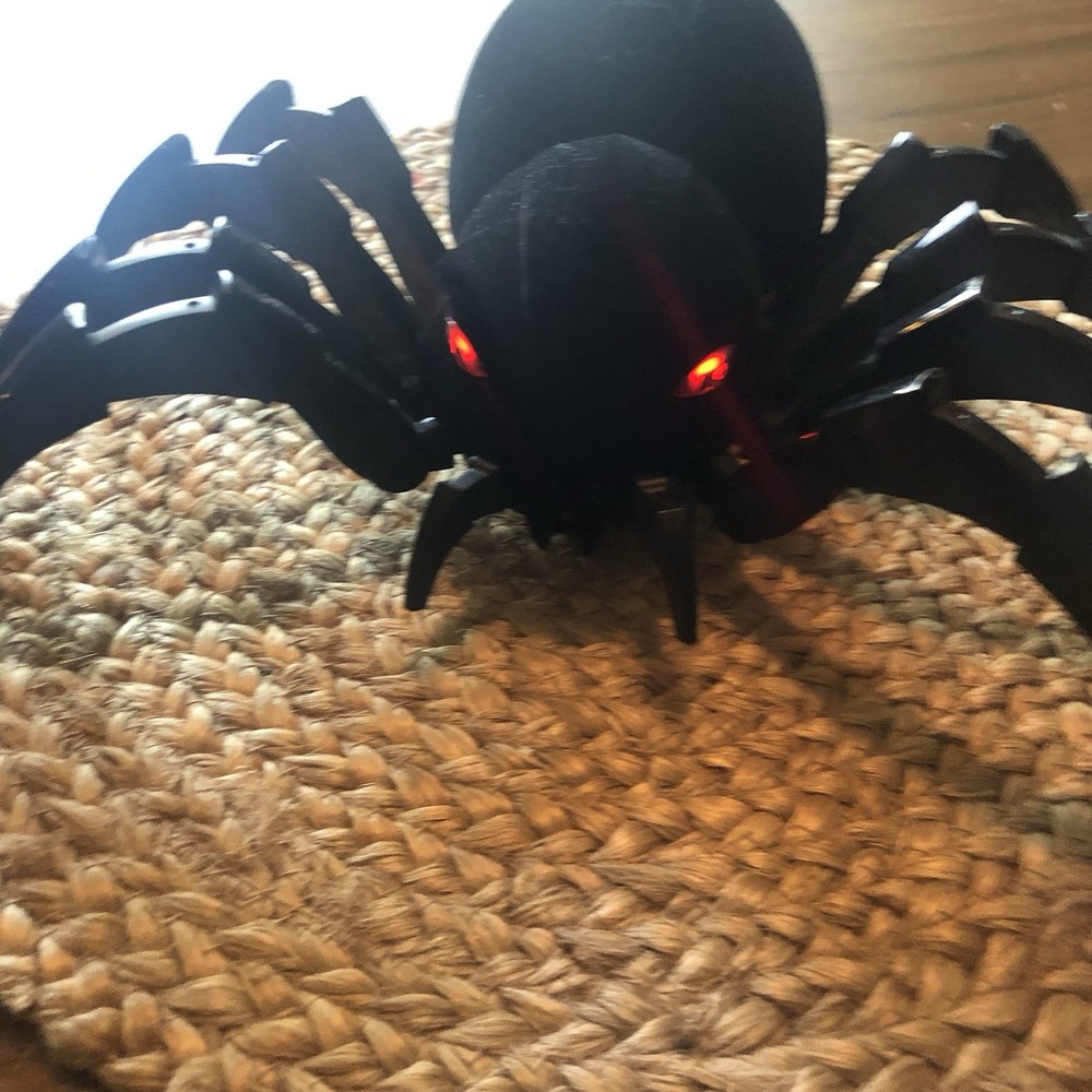 Simulation RC Spray Remote Control Spider Robot Toy Realistic Works DEERC