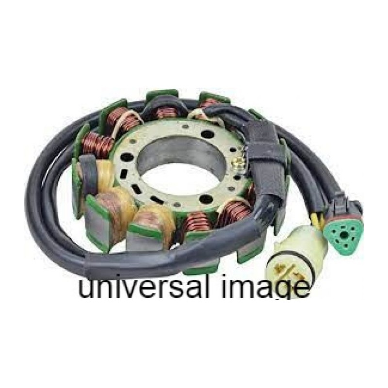 Wild Boar Charging Stator - 340-22016