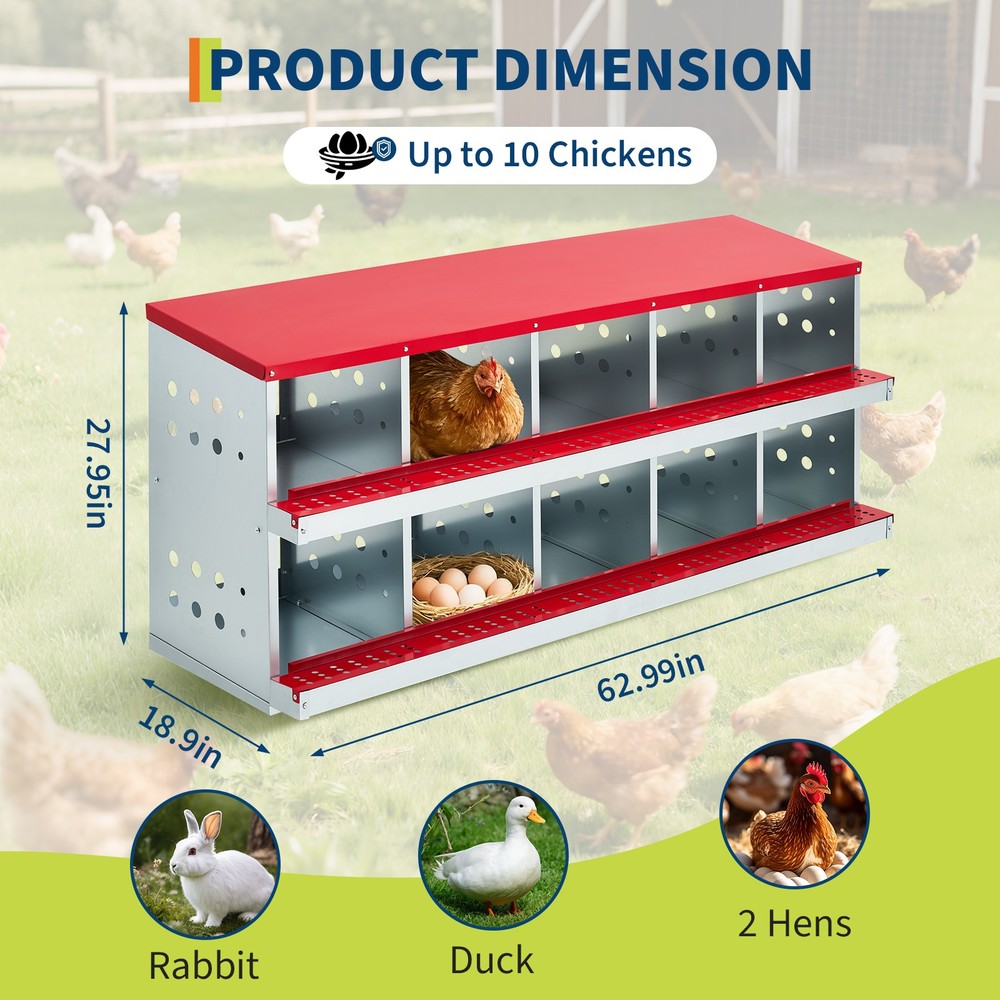 10 Holes Chicken Nesting Boxes Wall-Mount Roll Away Chicken Egg Laying Box