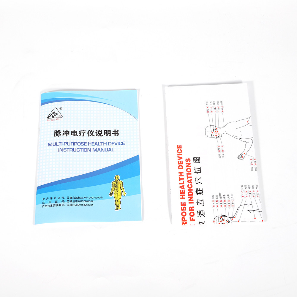 Electro Acupuncture Stimulator Therapy 6 Channel Acupuncture Machine