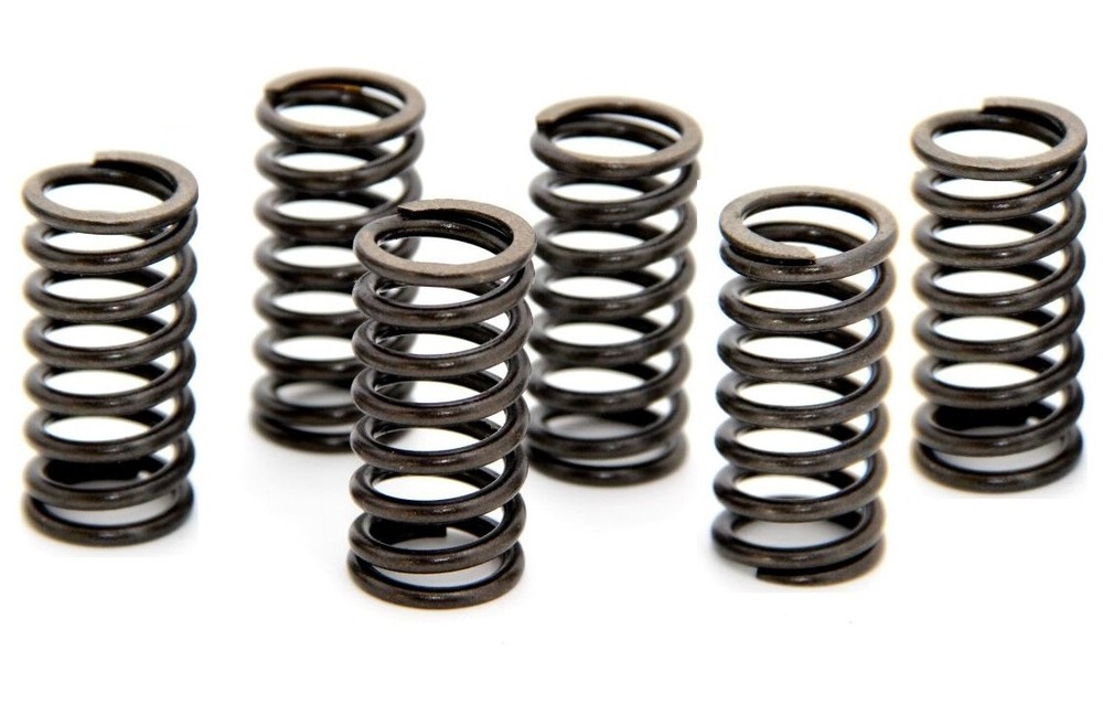 EBC CSK Clutch Spring Set (CSK29)