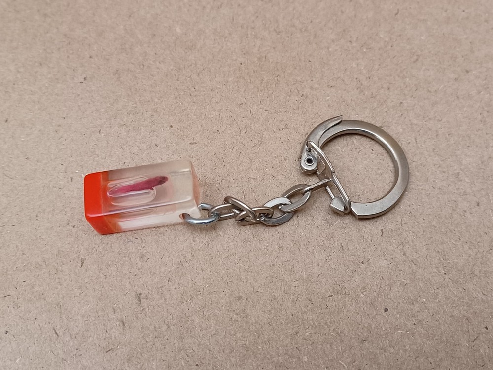 Fish Specimen Acrylic Encased Keychain