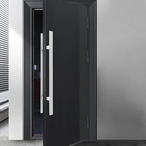 NEWStainless Steel Double Sided Push Pull Door Handle, H-shaped Door Pull Handle