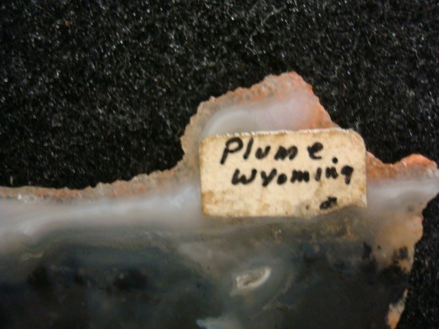 plume agate slab wyoming
