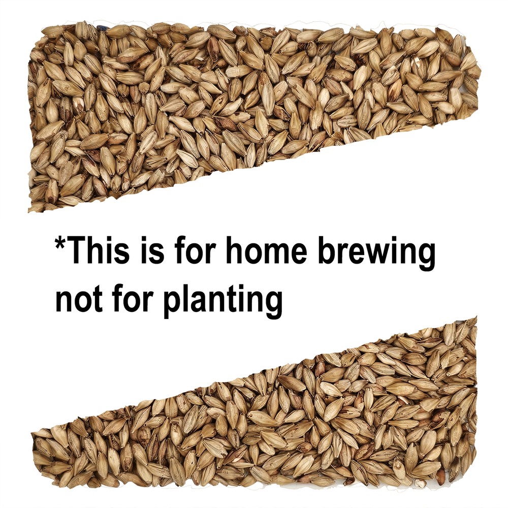 Home Brew Ohio Munich Dark 15L Grain 1lb