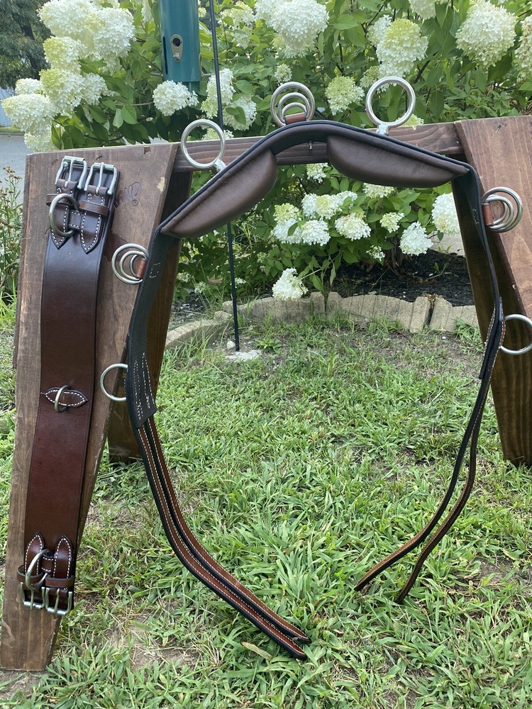 Leaders Training System For Horse, Training Surcingle, Lines And Training Aid