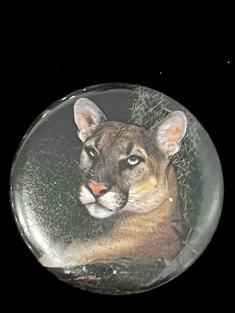 Vintage Florida Panther Button Pin