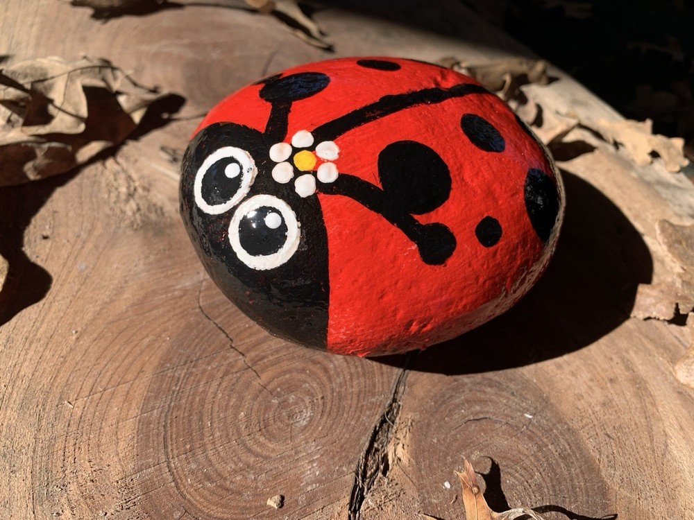 Hand Painted Garden Rock Ladybug