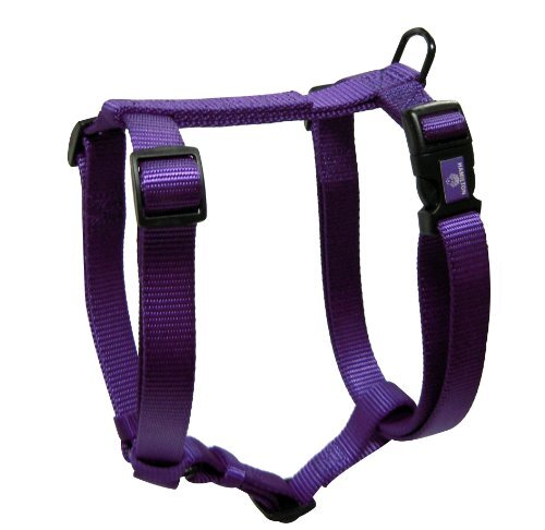 HAMILTON Adjustable Nylon Comfort Dog Harness, Assorted Sizes and Colors
