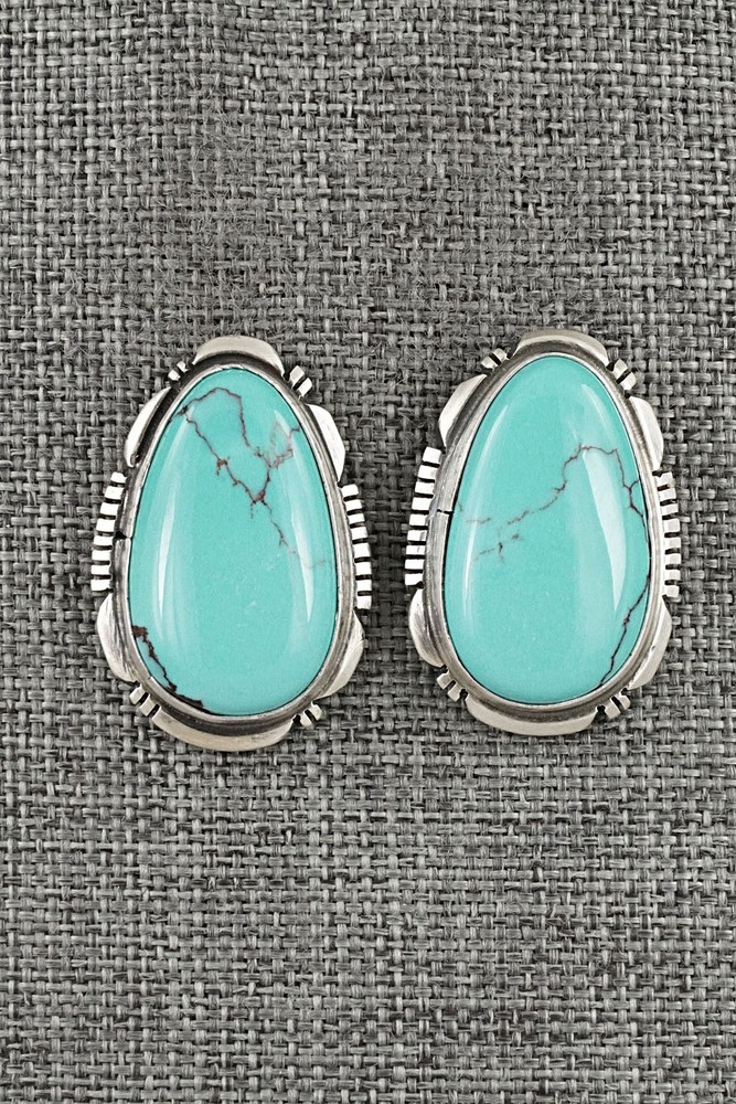 Turquoise & Sterling Silver Earrings - Thomas Francisco