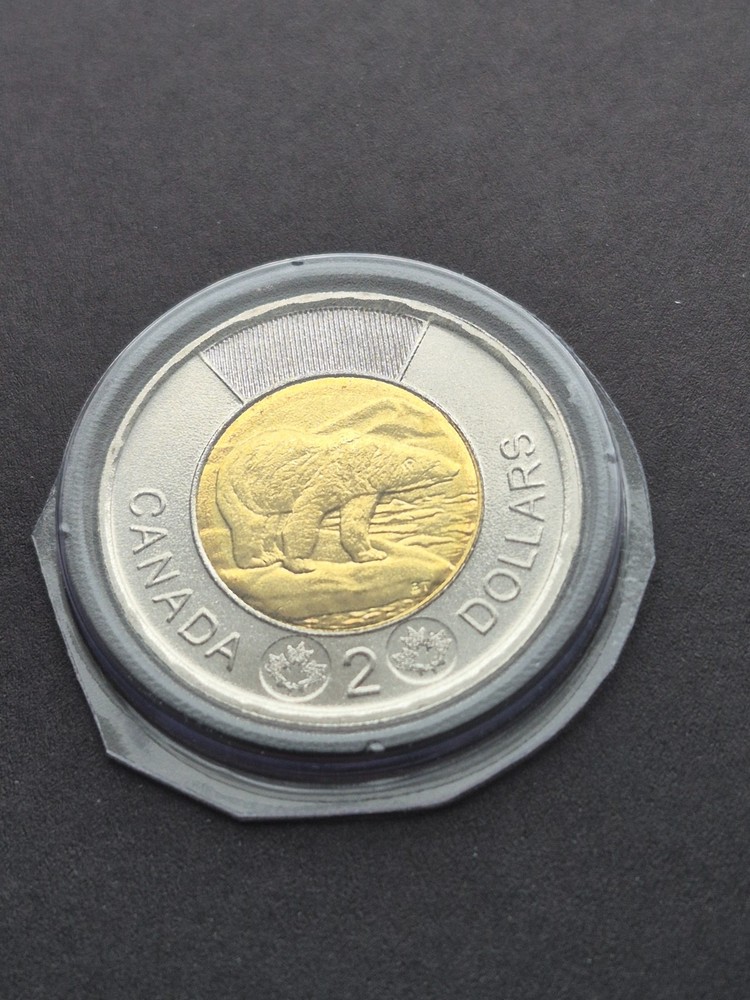 ***$2 CANADA TOONIE 2025 *** FROM MINT SETS ***