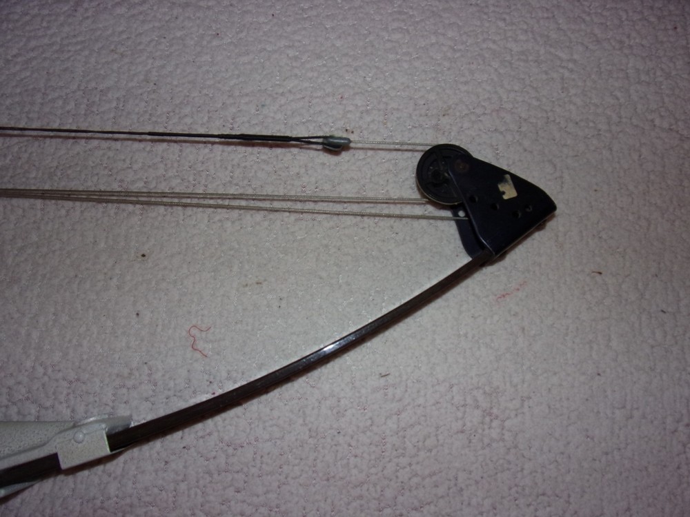 Bear Mini Magnum Compound Bow