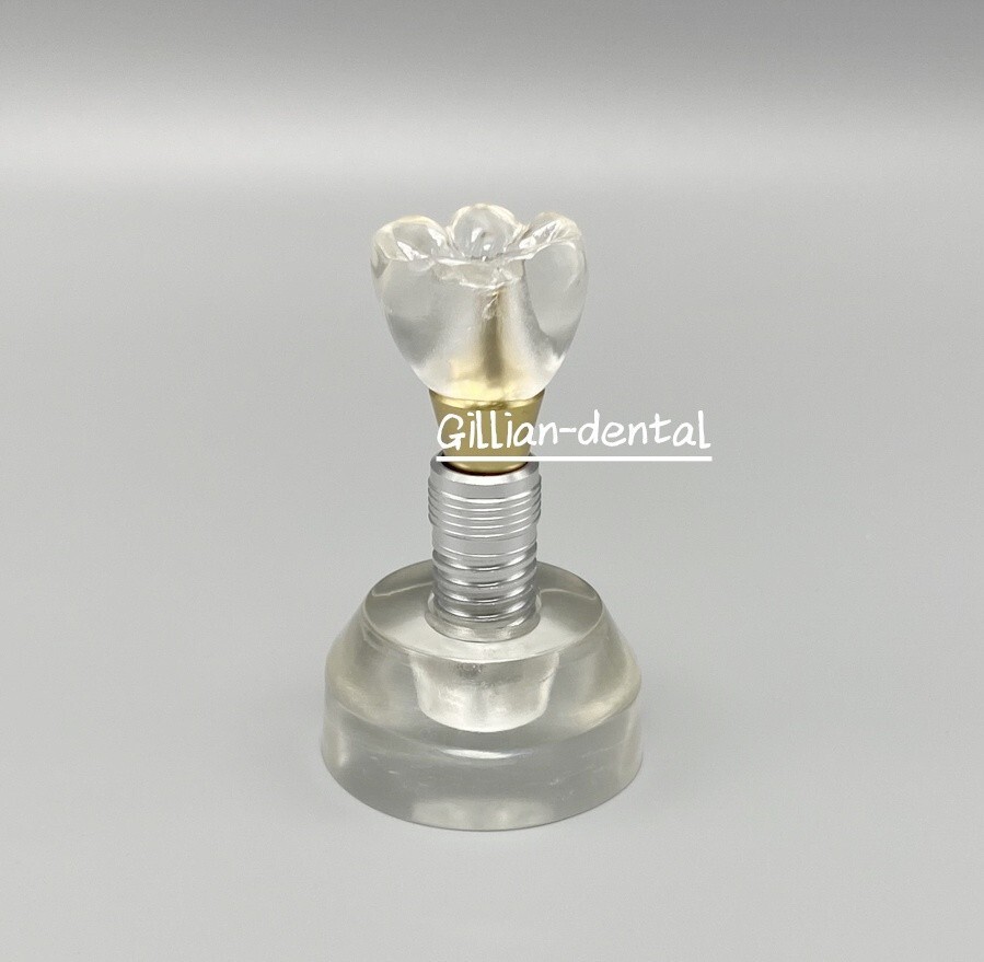 Dental Implant Model Detachable M2020 Demonstration Teeth Study Teach Models
