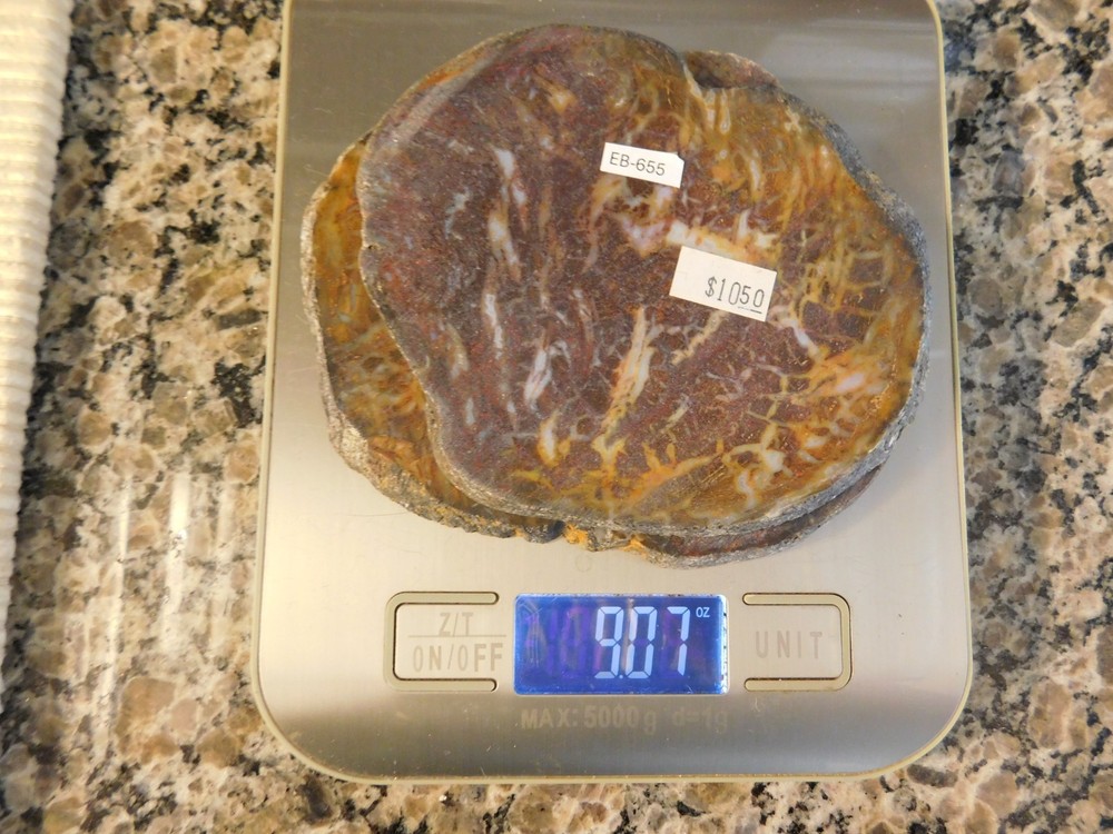Fossil Cycad Slabs for Cabs - qty 2