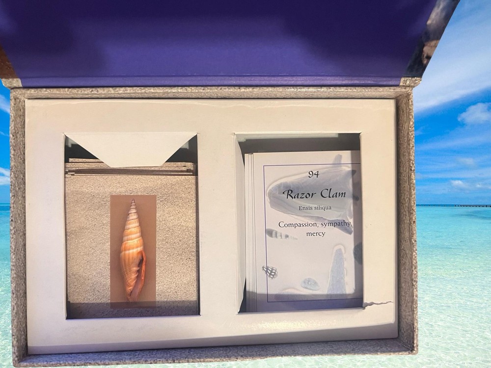 Ocean Oracle Card Deck By Michelle Hanson Seashell Divination Oracle Set
