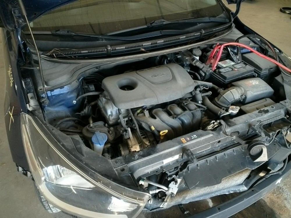 Stabilizer Bar Front Fits 18-23 RIO 104820645