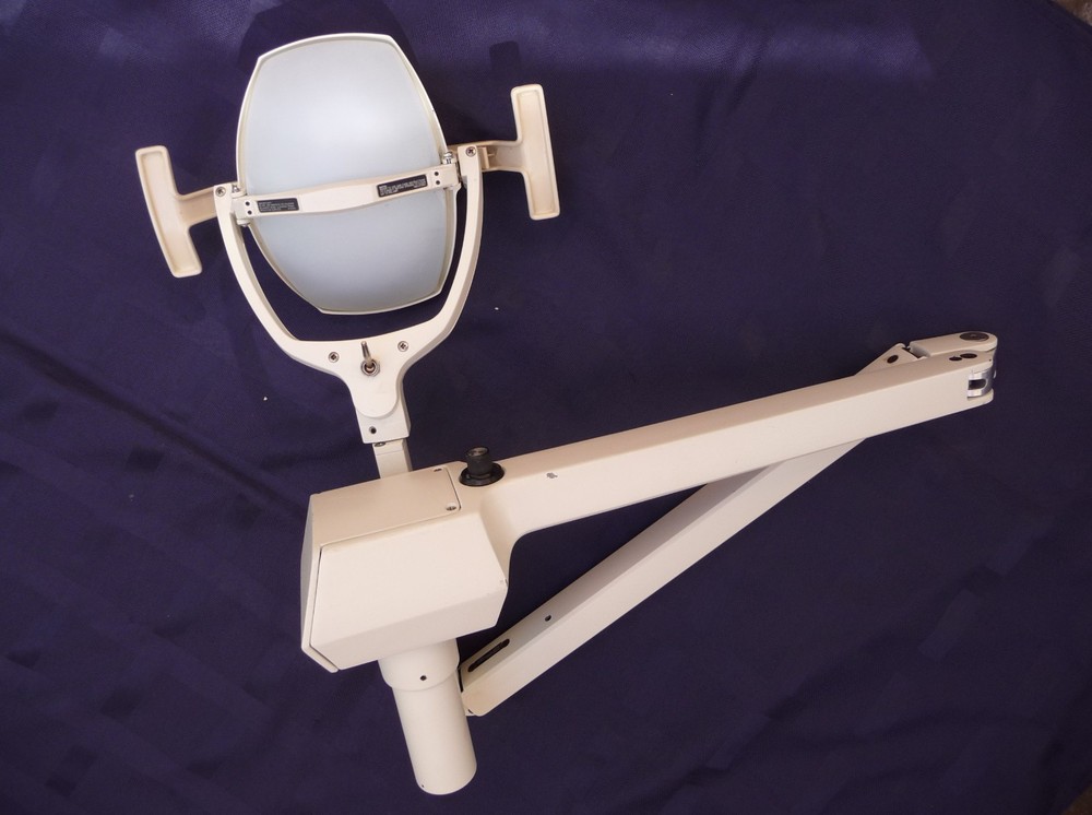 Pelton & Crane LFC II Ceiling Mount Light