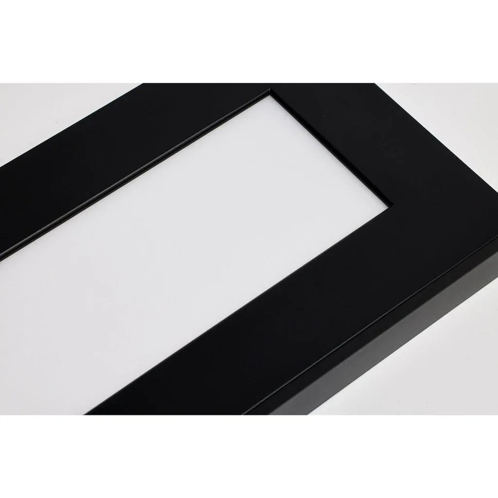 BLINK PRO PLUS 42W 5.5 X 48