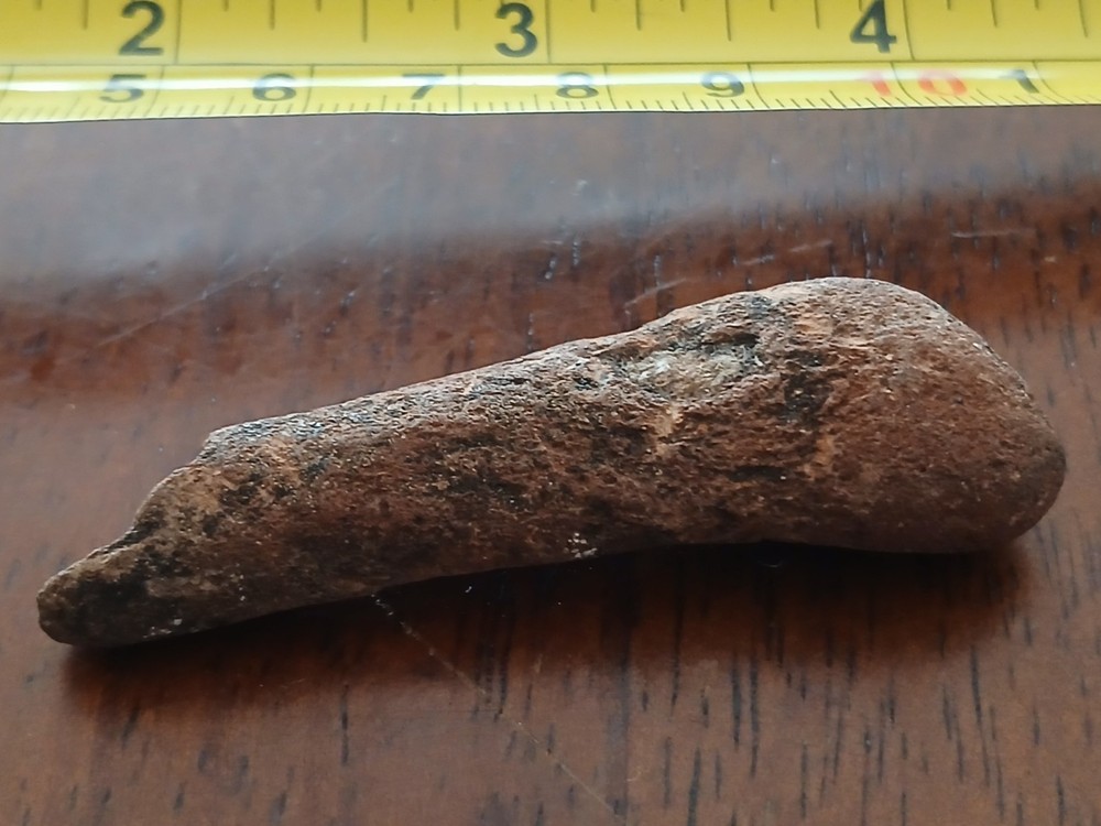 Fossilized bone Unknown specimen New Mexico