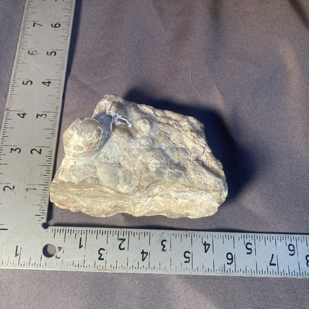 Rough Multicolored Agate Mineral Specimen for Cabbing