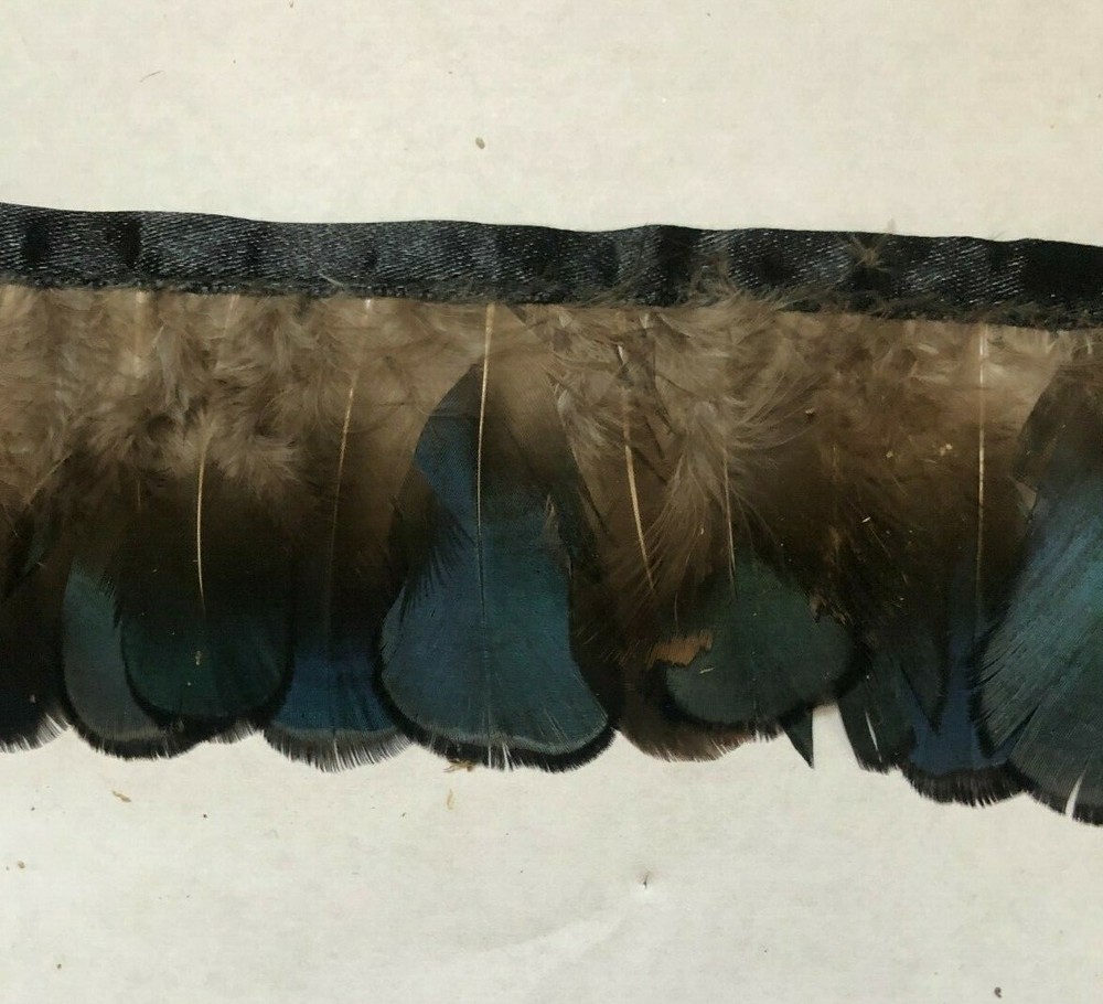 Trim - Feathers  - 3"  Wide - 2 Yard Piece
