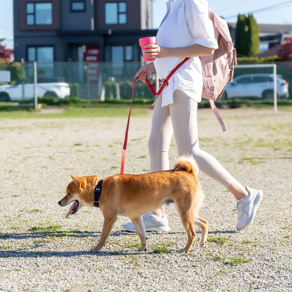 Leash 7.7 ft.| 2 Handle - Traffic Handle | Waterproof | Multifunctional Leash...