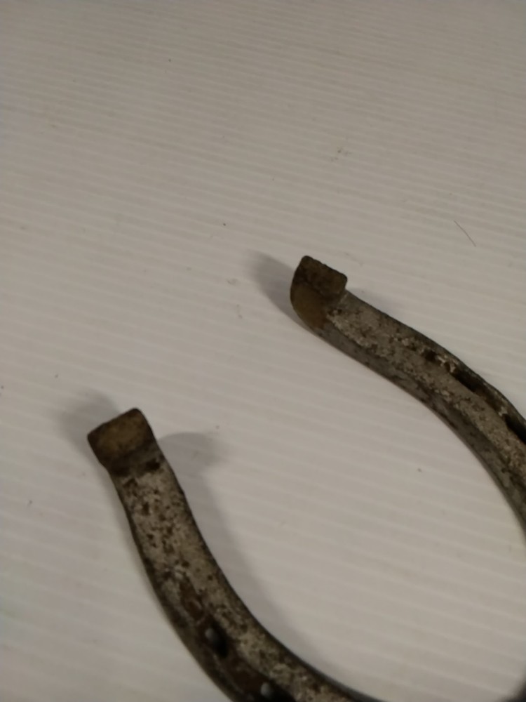 horse shoe