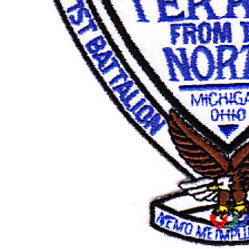 1st Battalion 24th Marine Patch